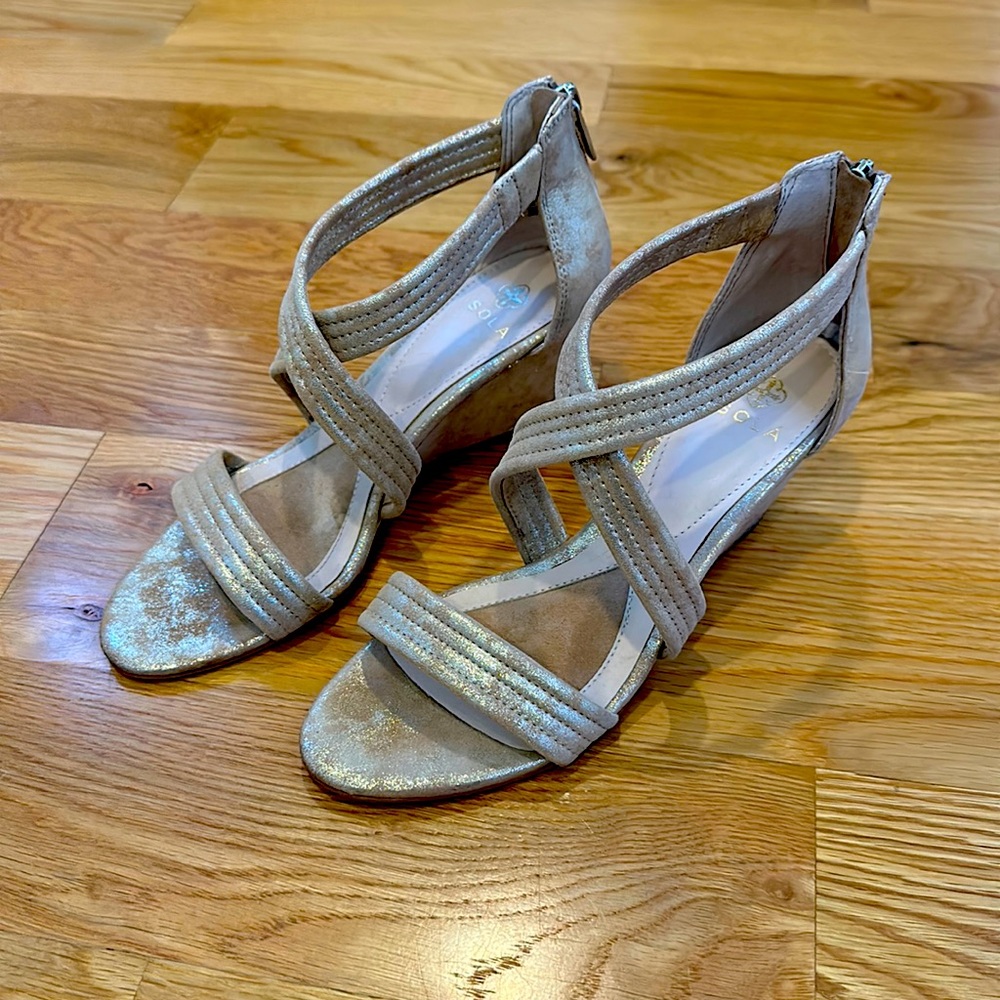 Isola Fia Suede Wedge Sandal 8